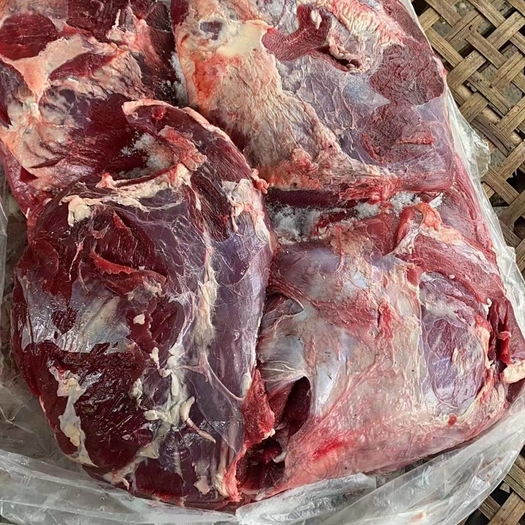 广东揭阳鲜冻黄牛肉 牛腿肉 牛肉 屠宰厂直销 牛腿肉