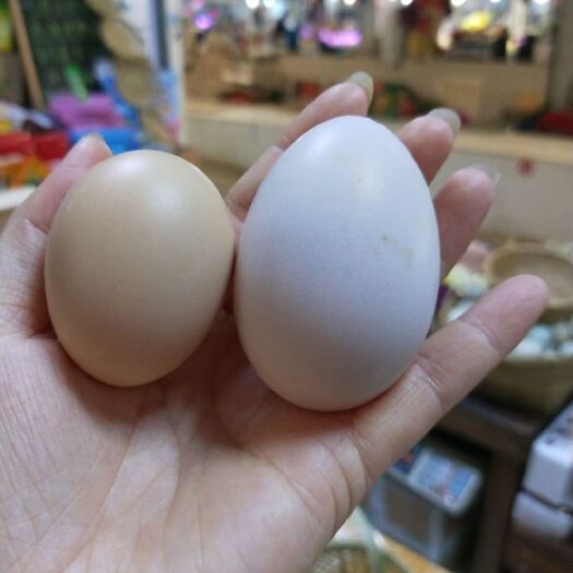 安徽芜湖安徽皖南土鸡蛋，双黄蛋，新鲜全国可发货
