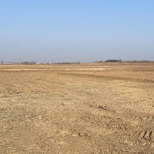 安徽宿州有地岀租，220元／亩，种一季小麦，2000亩。