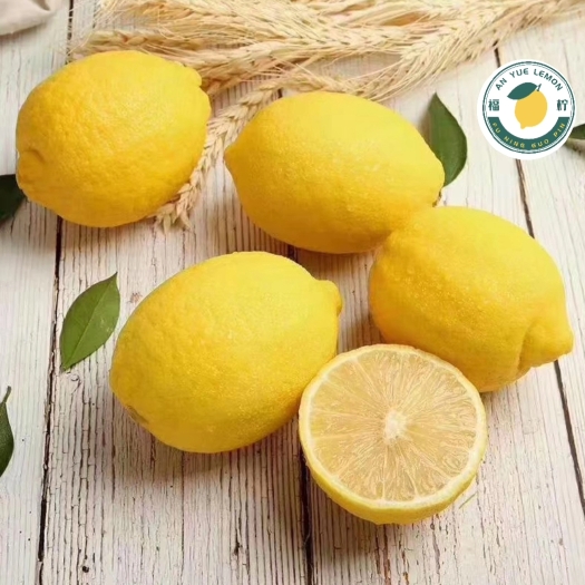 柠檬  尤力克柠檬  一二级果品  产地果园直销  欢迎订购