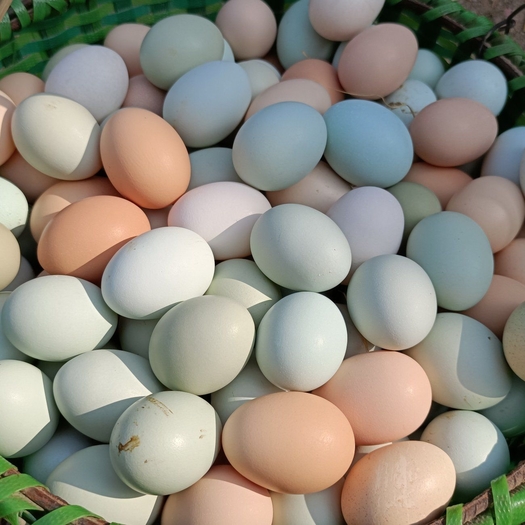 湖北京山山林散养土鸡蛋 绿壳蛋 保证新鲜   全国包邮 破损包