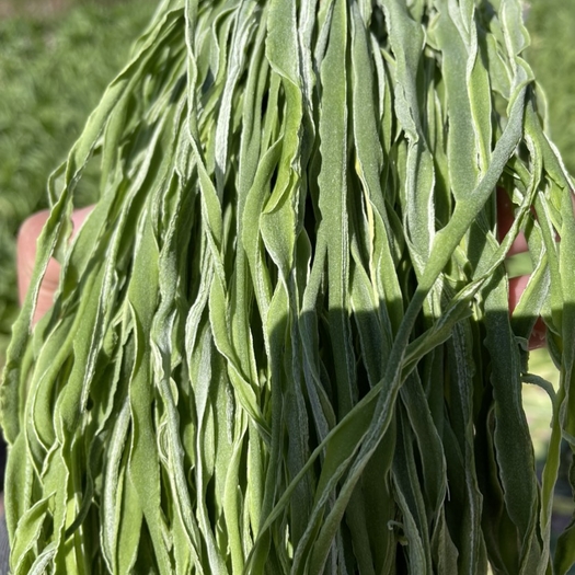 云南永平县贡菜一级贡菜苔干商用批发火锅店食材厂家批发产地直发10斤装